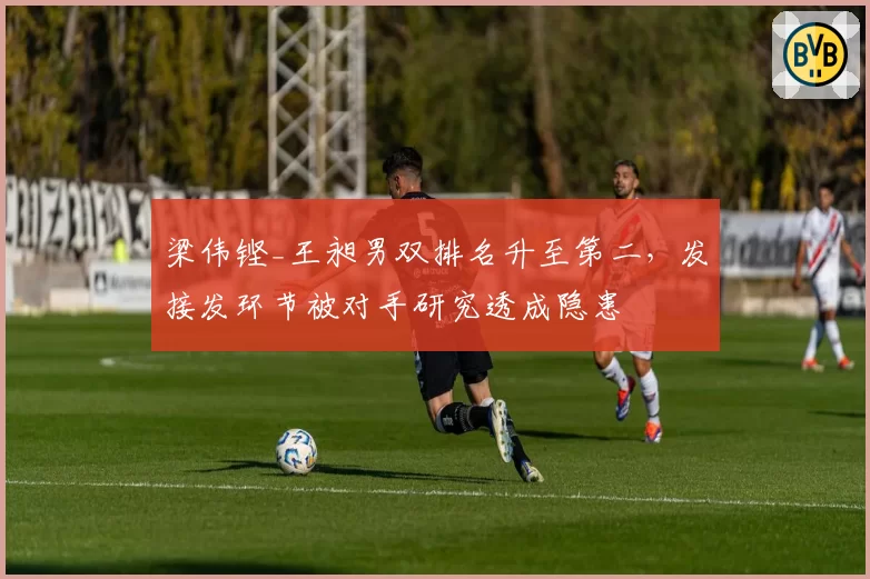 梁伟铿_王昶男双排名升至第二，发接发环节被对手研究透成隐患