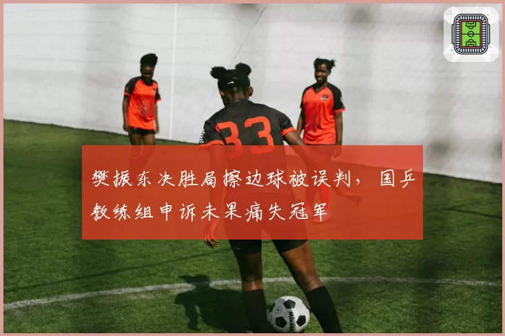 樊振东决胜局擦边球被误判，国乒教练组申诉未果痛失冠军