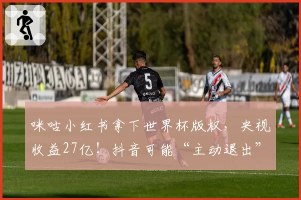 咪咕小红书拿下世界杯版权，央视收益27亿！抖音可能“主动退出”
