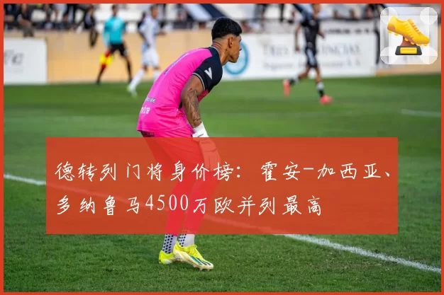德转列门将身价榜:霍安-加西亚、多纳鲁马4500万欧并列最高